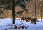Podlaska wie�